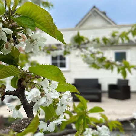 Centre Treehouse With Backyard - Two Bedroom 公寓