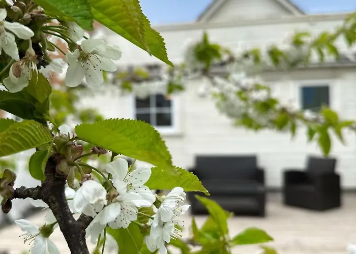 Centre Treehouse With Backyard - Two Bedroom Appartamento